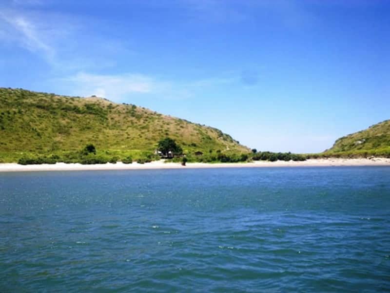 Đảo Yến Vũng Chùa