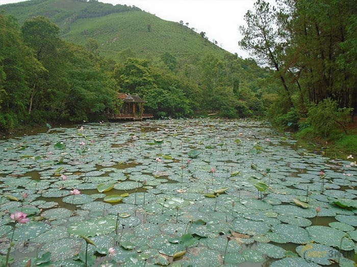 Hồ Ngậm Trăng ở chùa Huyền Không Sơn Thượng (Ảnh: Sưu tầm)