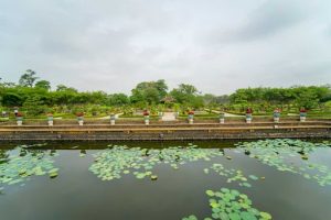 Không gian xanh mát của vườn Cơ Hạ_Ảnh Nguyễn Phúc Bảo Minh