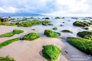 Những tảng đá phủ đầy màu xanh mướt của rêu (Ảnh sưu tầm)