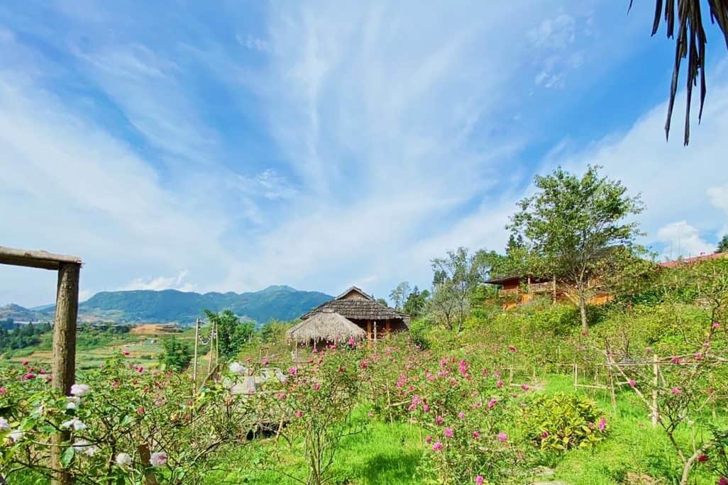 rose farm homestay sapa 6