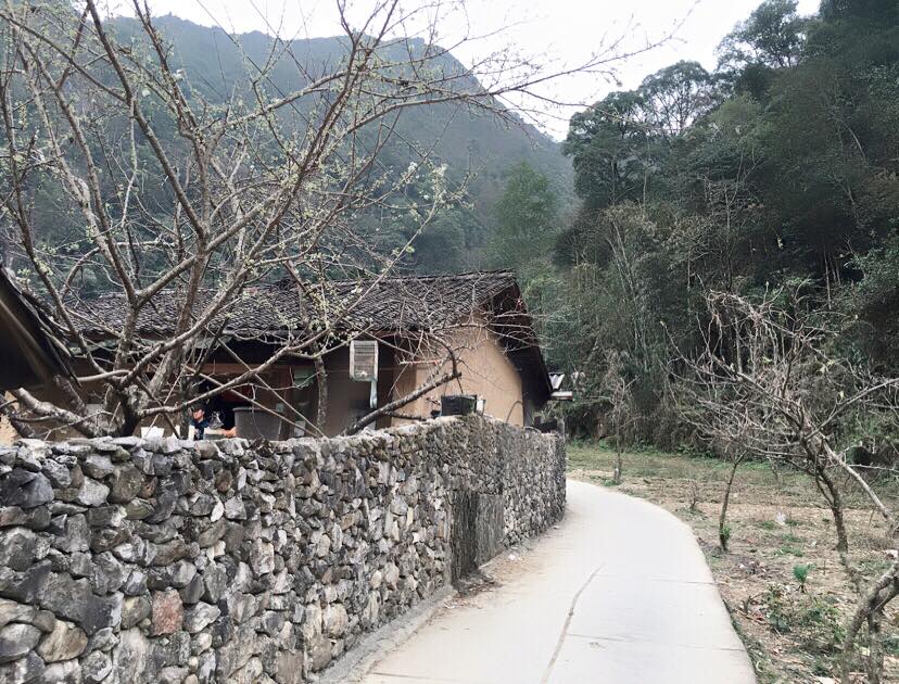 Ghé thăm nhà của Pao Hà Giang - ngôi nhà cổ hàng trăm năm tuổi từ phim ra đời thực 2