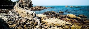 Những tảng đá với dáng hình thích thú, kỳ lạ tại biển Cửa Hiền_ảnh sưu tầm