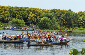 Đua thuyền, một trong những hoạt động được tổ chức tại lễ hội Hoa Sưa _ Ảnh sưu tầm