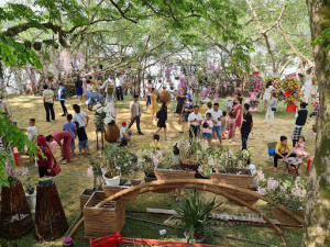 Làng Hương Trà - nơi tổ chức lễ hội hoa Sưa hằng năm _ Ảnh sưu tầm